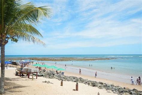  Praia do Forte! Bãi Biển Enchanting Với Sự phong phú của Thiên Nhiên và Lịch Sử