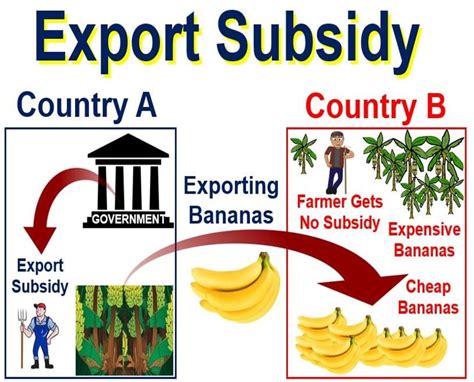 subsidy 뜻: 정부의 지원이 경제에 미치는 영향